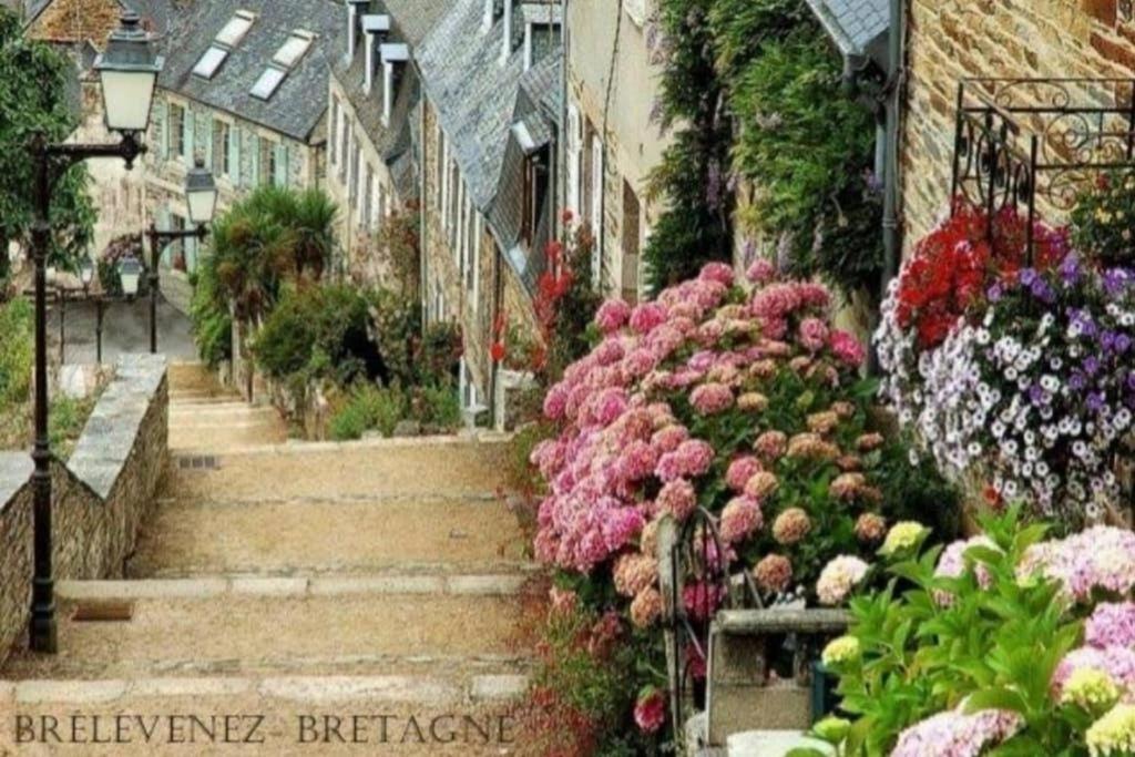 Maison Du Martin Pecheur A Lannion Exteriér fotografie